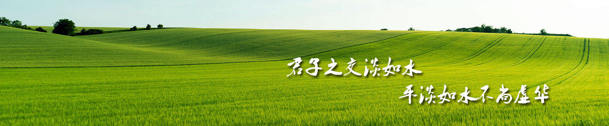 友情链接